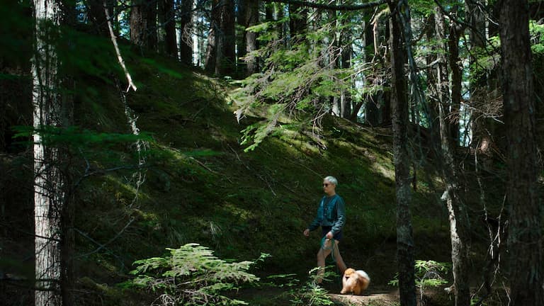 Meeko the pomerainian walking with his owner in the forest.